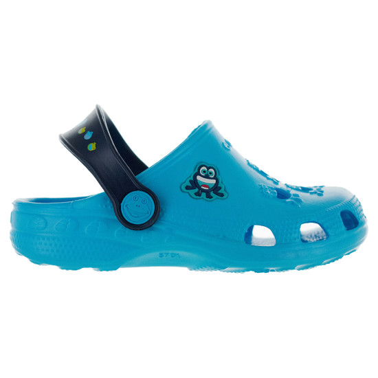 Coqui Little frog Coqui Little frog